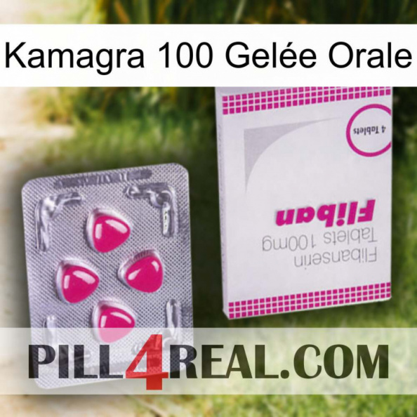 Kamagra 100 Gelée Orale 32.jpg